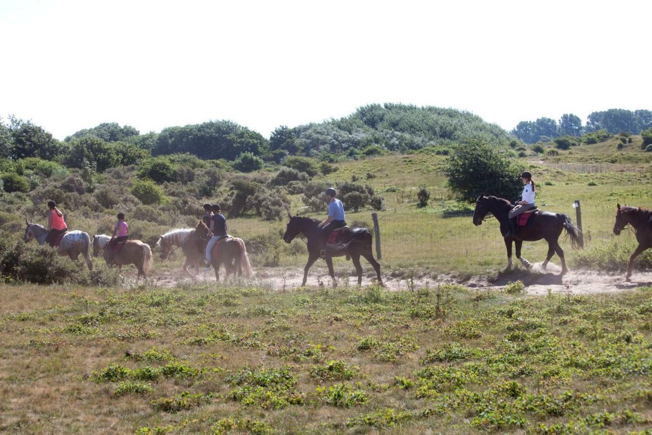 אחמונד-בינן Appartementen - Bungalowpark Mooyeveld - Uniek Gelegen In De Duinen! מראה חיצוני תמונה